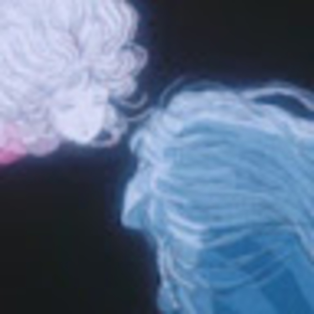 Meet your Posher, Snowpea